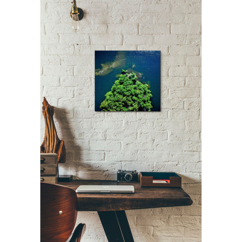 Image of 'Archipelago Island' by Nicklas Gustafsson, Canvas Wall,12x12