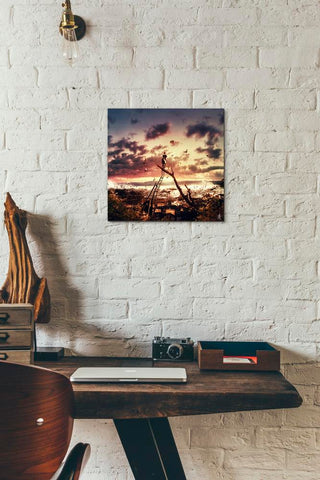 Image of 'King For A Day' by Mario Sanchez Nevado, Canvas Wall Art,12x12