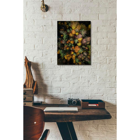 Image of 'Autumn Forest - Aerial Photography' by Nicklas Gustafsson, Canvas Wall,12x16