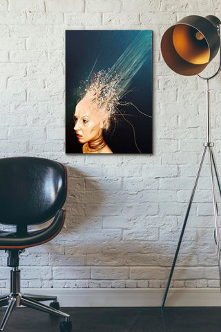 Image of 'Emotionless' by Mario Sanchez Nevado, Canvas Wall Art,18x26