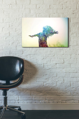 Image of 'Release' by Mario Sanchez Nevado, Canvas Wall Art,18x26