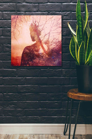 Image of 'Maps' by Mario Sanchez Nevado, Canvas Wall Art,26x26