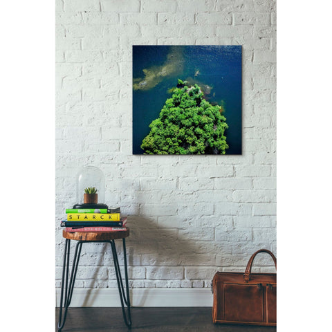 Image of 'Archipelago Island' by Nicklas Gustafsson, Canvas Wall,26x26
