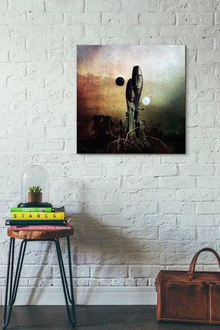 Image of 'Postlife' by Mario Sanchez Nevado, Canvas Wall Art,26x26