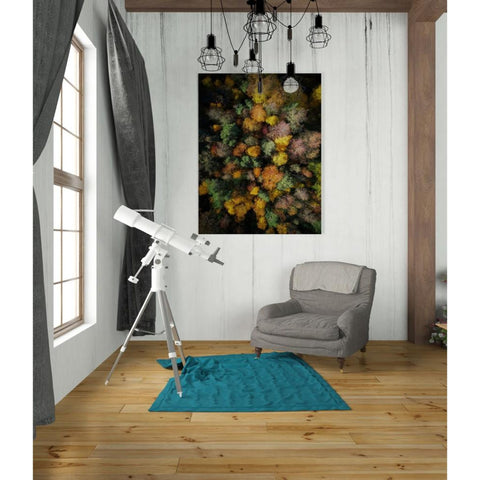 Image of 'Autumn Forest - Aerial Photography' by Nicklas Gustafsson, Canvas Wall,26x34