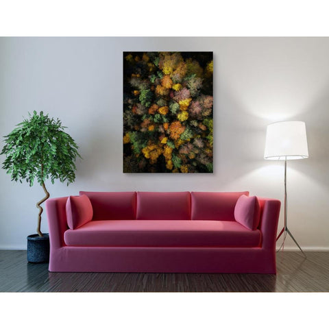 Image of 'Autumn Forest - Aerial Photography' by Nicklas Gustafsson, Canvas Wall,40x54
