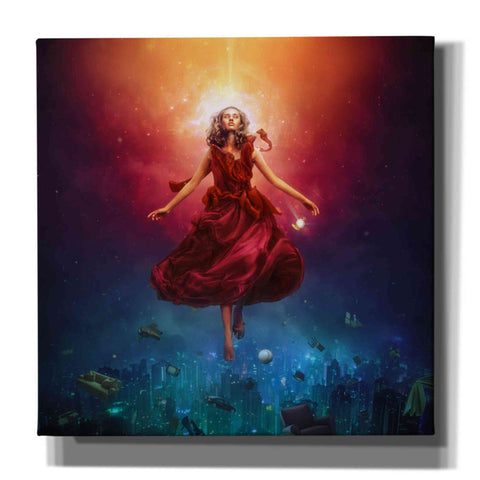 Image of 'Elevate' by Mario Sanchez Nevado, Canvas Wall Art