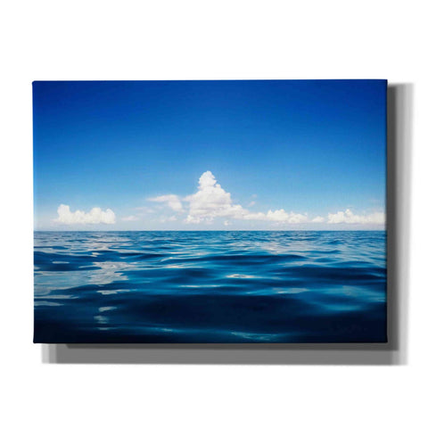 Image of 'Deep Blue' by Nicklas Gustafsson Canvas Wall Art