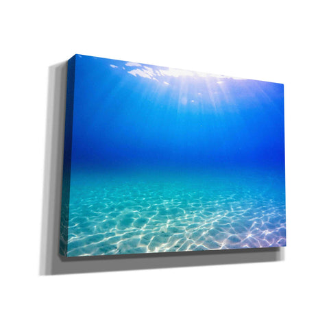 Image of 'One Deep Breath' by Nicklas Gustafsson Canvas Wall Art