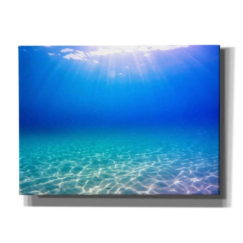 Image of 'One Deep Breath' by Nicklas Gustafsson Canvas Wall Art