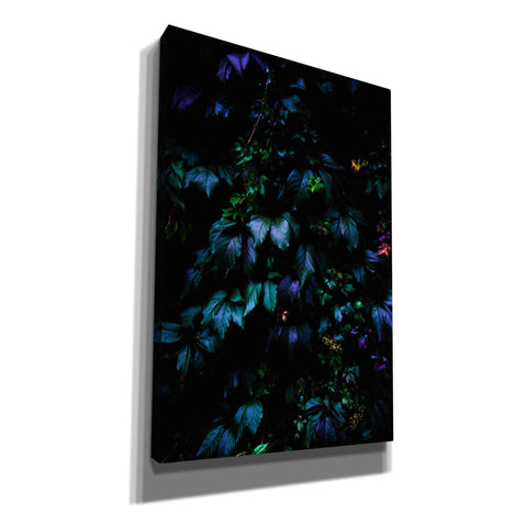 Image of 'Jungle' by Nicklas Gustafsson Canvas Wall Art