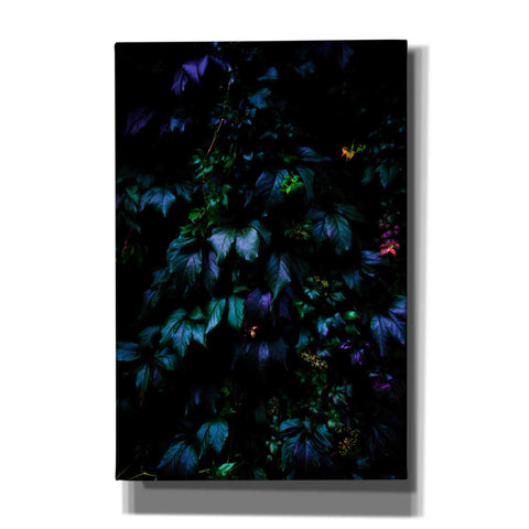 Image of 'Jungle' by Nicklas Gustafsson Canvas Wall Art