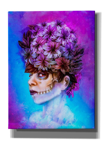 Image of 'Aurora' by Mario Sanchez Nevado, Canvas Wall Art,Size B Portrait