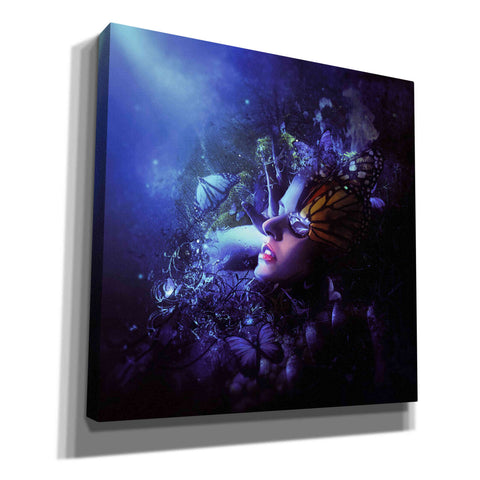 Image of 'Last Travel of the Butterflies' by Mario Sanchez Nevado, Canvas Wall Art,Size 1 Square