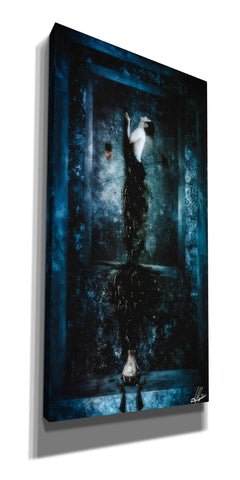 Image of 'Drink Me' by Mario Sanchez Nevado, Canvas Wall Art,Size 2 Portrait