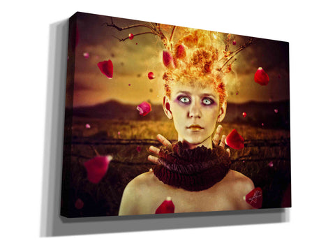 Image of 'Enjoy The Silence' by Mario Sanchez Nevado, Canvas Wall Art,Size A Landscape