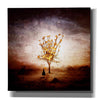 'Finding' by Mario Sanchez Nevado, Canvas Wall Art,Size 1 Square