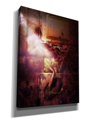 Image of 'Flowers' by Mario Sanchez Nevado, Canvas Wall Art,Size A Portrait