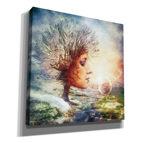 Image of 'Treasure' by Mario Sanchez Nevado, Canvas Wall Art,Size 1 Square