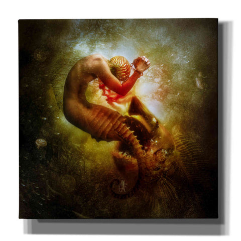 Image of 'Wanderer' by Mario Sanchez Nevado, Canvas Wall Art,Size 1 Square
