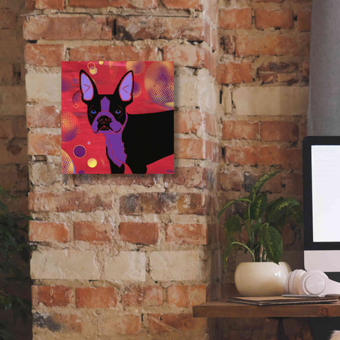 Image of 'Bubbly Boston' by Angela Bond Giclee Canvas Wall Art,12x12