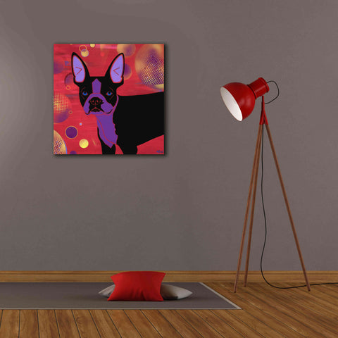 Image of 'Bubbly Boston' by Angela Bond Giclee Canvas Wall Art,26x26