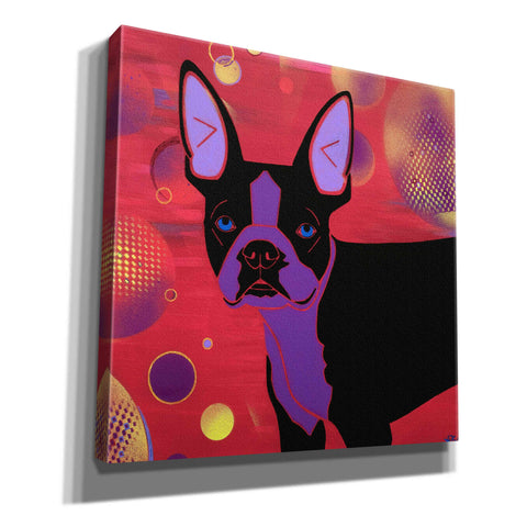 Image of 'Bubbly Boston' by Angela Bond Giclee Canvas Wall Art