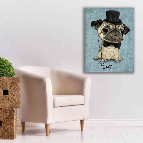 Image of 'Gentle Pug' by Barruf Giclee Canvas Wall Art,26x34