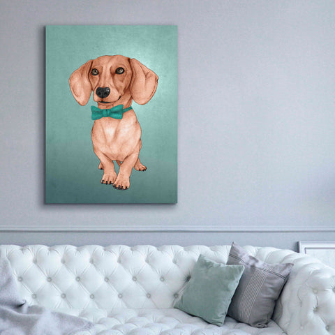 Image of 'The Wiener Dog' by Barruf Giclee Canvas Wall Art,40x54