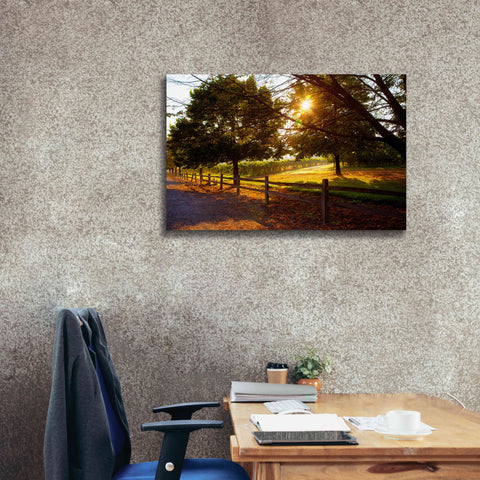 Image of 'Dreamland Vineyard' by Michael Broom Giclee Canvas Wall Art,40x26