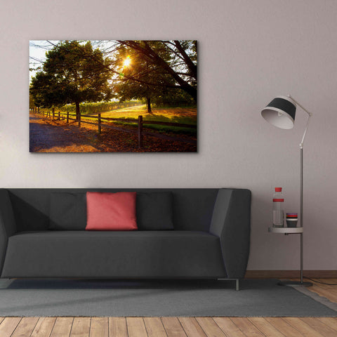 Image of 'Dreamland Vineyard' by Michael Broom Giclee Canvas Wall Art,60x40
