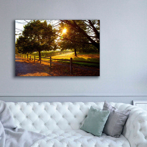 Image of 'Dreamland Vineyard' by Michael Broom Giclee Canvas Wall Art,60x40