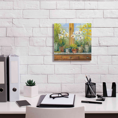 Image of 'Gardeners Table Orchids' by Carol Rowan, Giclee Canvas Wall Art,12x12