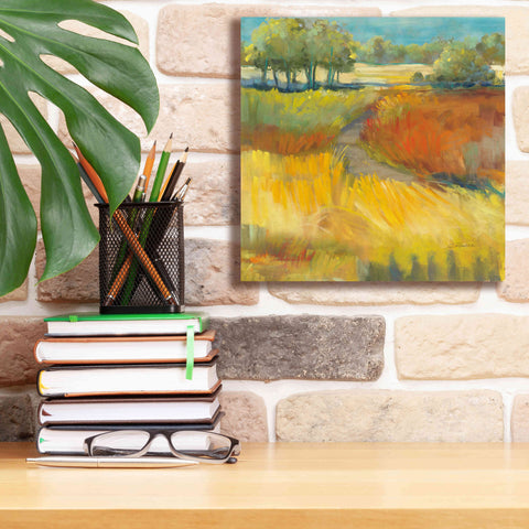 Image of 'Late Summer Landscape II' by Carol Rowan, Giclee Canvas Wall Art,12x12