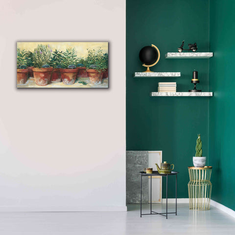 Image of 'Potted Herbs I' by Carol Rowan, Giclee Canvas Wall Art,40x20
