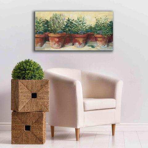 Image of 'Potted Herbs I' by Carol Rowan, Giclee Canvas Wall Art,40x20