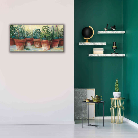 Image of 'Potted Herbs II' by Carol Rowan, Giclee Canvas Wall Art,40x20