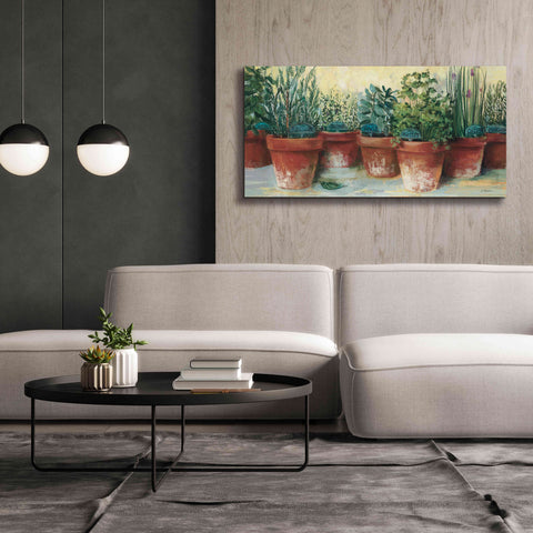 Image of 'Potted Herbs II' by Carol Rowan, Giclee Canvas Wall Art,60x30