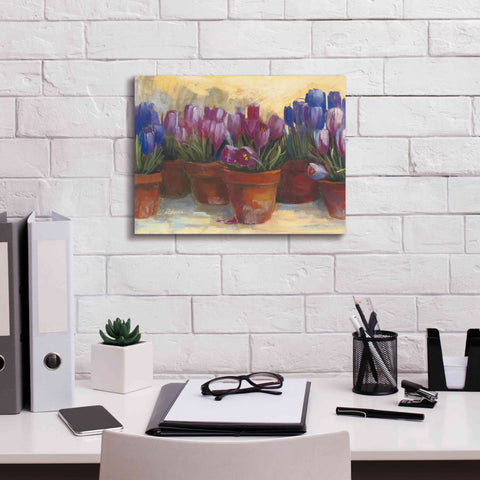 Image of 'Spring Crocus' by Carol Rowan, Giclee Canvas Wall Art,16x12