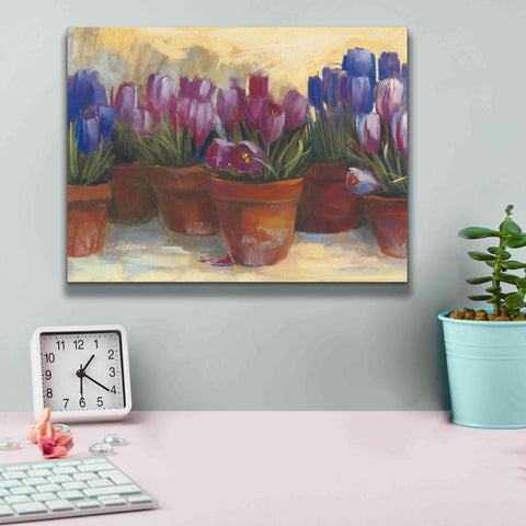 Image of 'Spring Crocus' by Carol Rowan, Giclee Canvas Wall Art,16x12