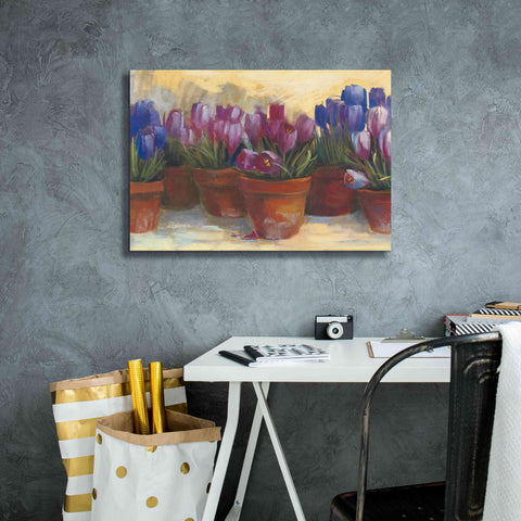 Image of 'Spring Crocus' by Carol Rowan, Giclee Canvas Wall Art,26x18
