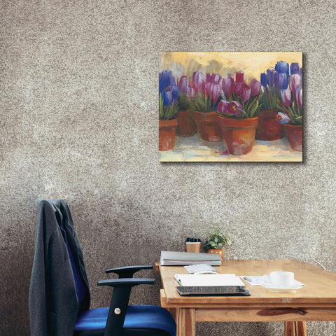 Image of 'Spring Crocus' by Carol Rowan, Giclee Canvas Wall Art,34x26