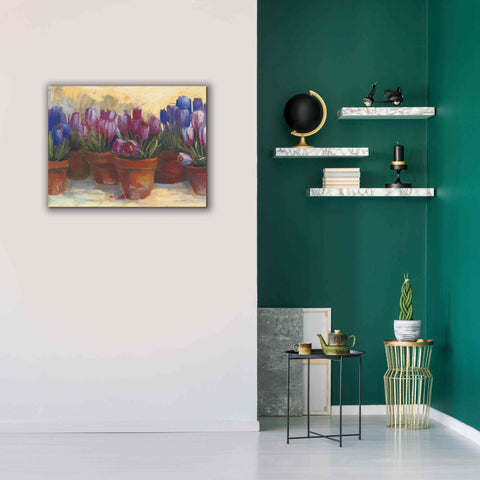 Image of 'Spring Crocus' by Carol Rowan, Giclee Canvas Wall Art,34x26
