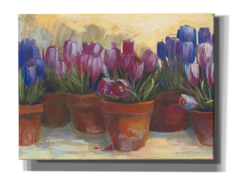 Image of 'Spring Crocus' by Carol Rowan, Giclee Canvas Wall Art