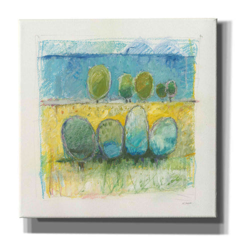 Image of 'Morning Grove' by Mike Schick, Giclee Canvas Wall Art