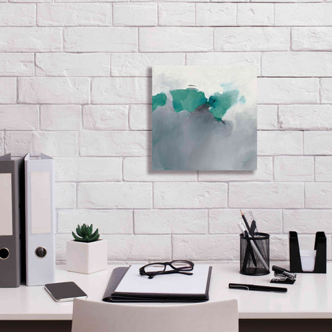 Image of 'Dark To Light Peacock' by Mike Schick, Giclee Canvas Wall Art,12x12