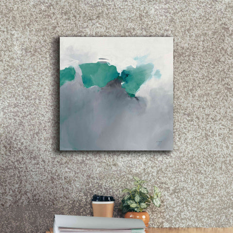 Image of 'Dark To Light Peacock' by Mike Schick, Giclee Canvas Wall Art,18x18