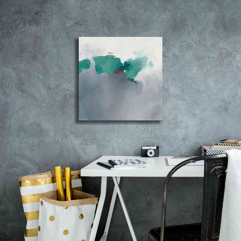 Image of 'Dark To Light Peacock' by Mike Schick, Giclee Canvas Wall Art,18x18