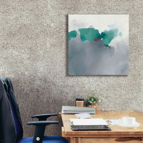 Image of 'Dark To Light Peacock' by Mike Schick, Giclee Canvas Wall Art,26x26