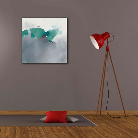 Image of 'Dark To Light Peacock' by Mike Schick, Giclee Canvas Wall Art,26x26